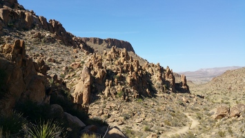 Grapevine Hills trail